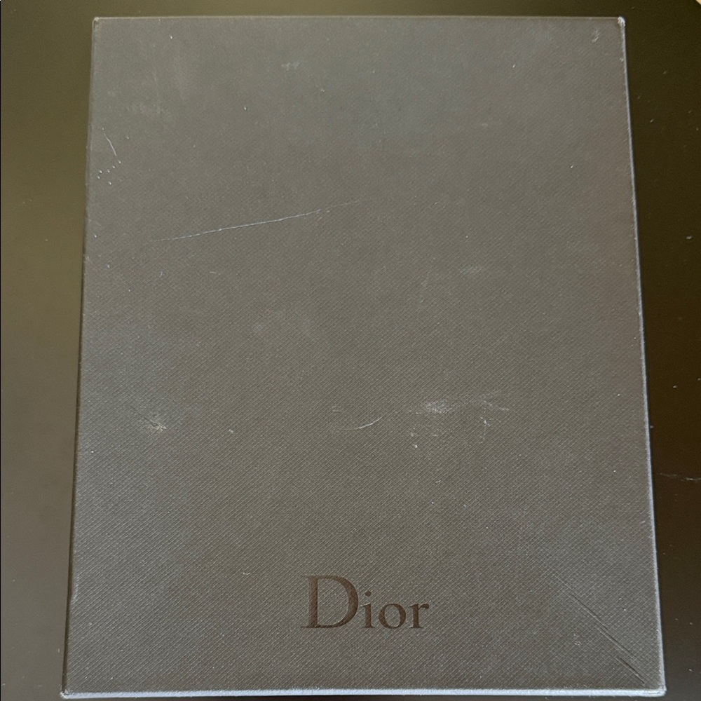 Christian Dior Homme x Hajime Sorayama dinosaur robot clutch/pouch with Box - Picture 10 of 11